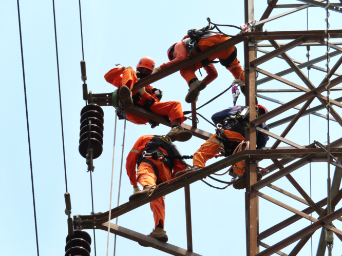 Nuevos dispositivos LLPD d69z están instalados en Indonesia. Nuevos dispositivos LLPD d69z están instalados en Indonesia.